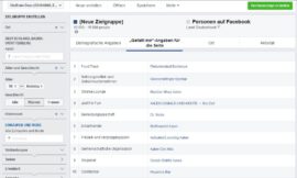 Die Zielgruppen-Insights von Facebook – Zielgruppendefinition kann so einfach sein!